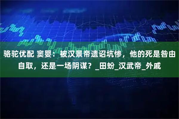 骆驼优配 窦婴:被汉景帝遗诏坑惨,他的死是咎由自取,还是一场阴谋?_田蚡_汉武帝_外戚